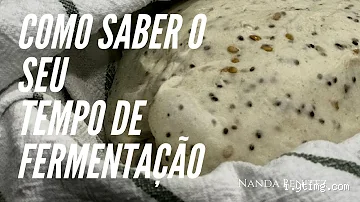 Como calcular o tempo de fermentação? Dicas certeiras para acertar o ponto