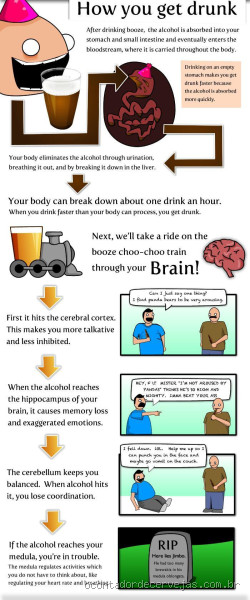 O que fazer depois de beber muita cerveja? Dicas que salvam