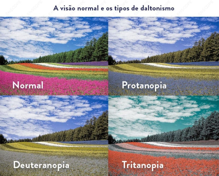 Qual a cor mais vista no mundo? Descubra a resposta surpreendente
