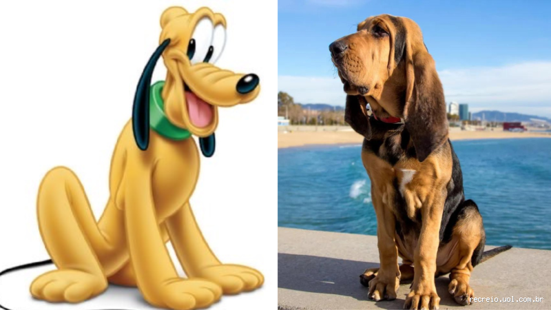 Qual é a raça do Pluto? Descubra a verdade sobre o cão de Mickey