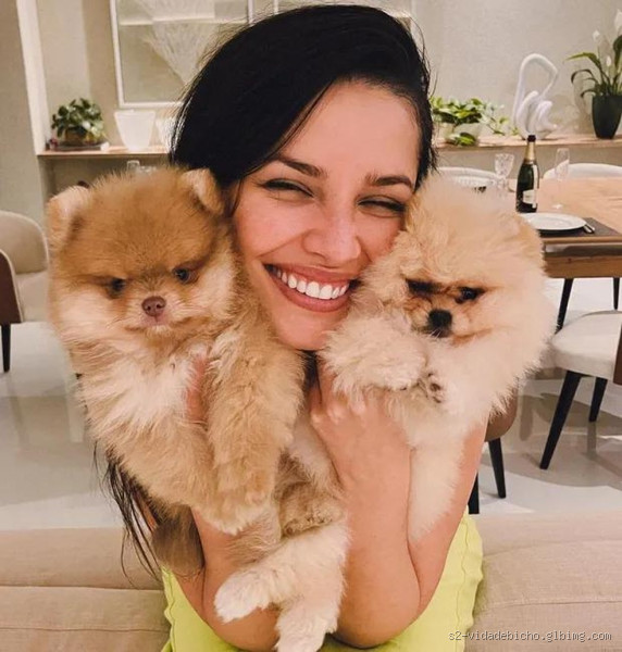 Qual raça é o cachorro da Juliette? Fofura que conquista corações