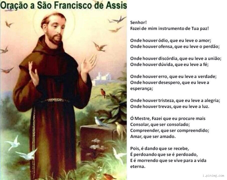 São Francisco de Assis oração para cachorro: Proteja seu amigo de quatro patas