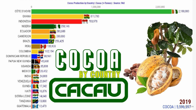 Quais são os maiores produtores de cacau do mundo?