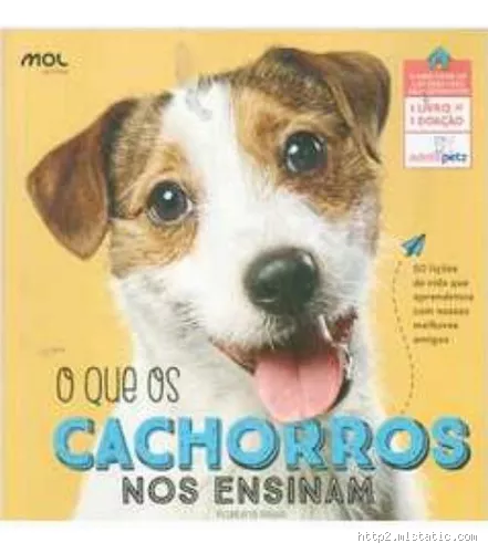 O que os cachorros nos ensinam: lições valiosas para a vida