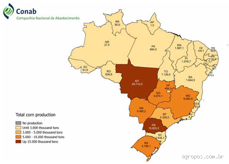 Qual foi a maior produção de milho por hectare no Brasil? Uma conversa entre amigos sobre recordes e desafios