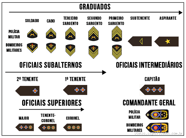 Quem é maior: Coronel ou Sargento? Descubra a Hierarquia Militar