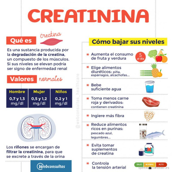 Como evitar que a creatinina suba? Descubra as melhores dicas!