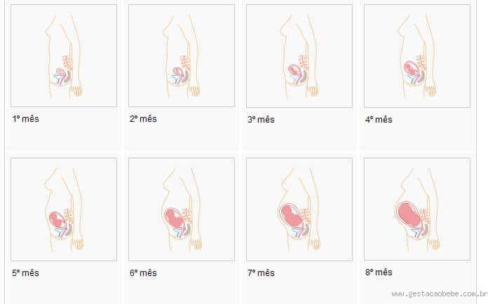 Estou grávida de 5 meses e minha barriga está pequena? O que pode ser?