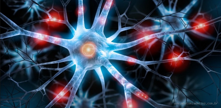 O que causa a morte dos neurônios? Entenda esse mistério do cérebro