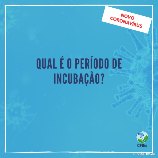 O que é o período de incubação do coronavírus? Entenda como o vírus age no início