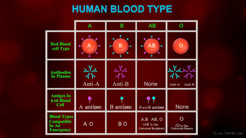 O que significa ter o tipo de sangue O positivo? Descubra agora!