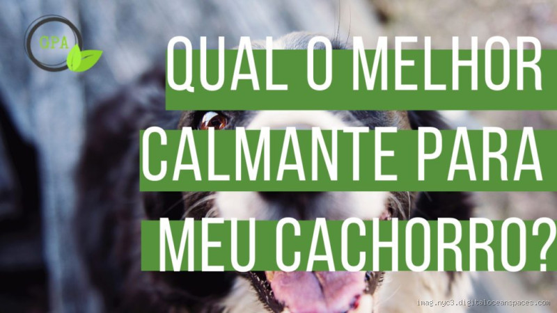 Qual o melhor calmante para cachorro que late muito?