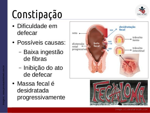 Quantas gramas perdemos ao defecar? O que realmente acontece com o corpo?
