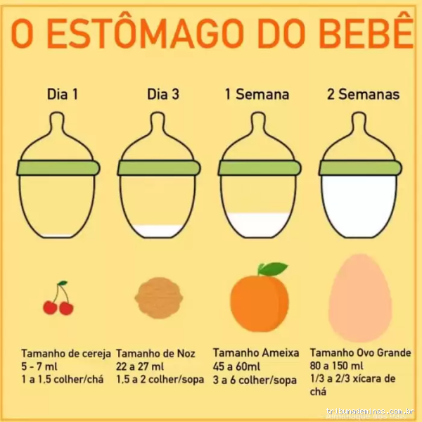 Quantos ml de leite um bebê de 5 meses deve tomar?