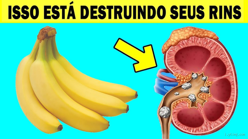 Quem tem problemas nos rins pode comer ovo? Descubra antes de errar!