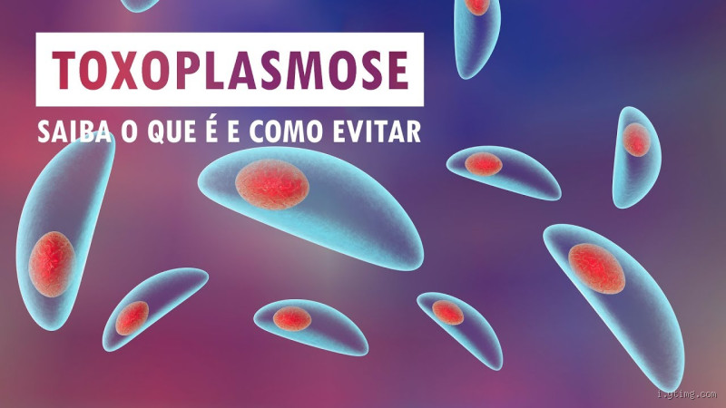 Quem tem toxoplasmose pode comer ovo? Saiba o que evitar e o que tá liberado