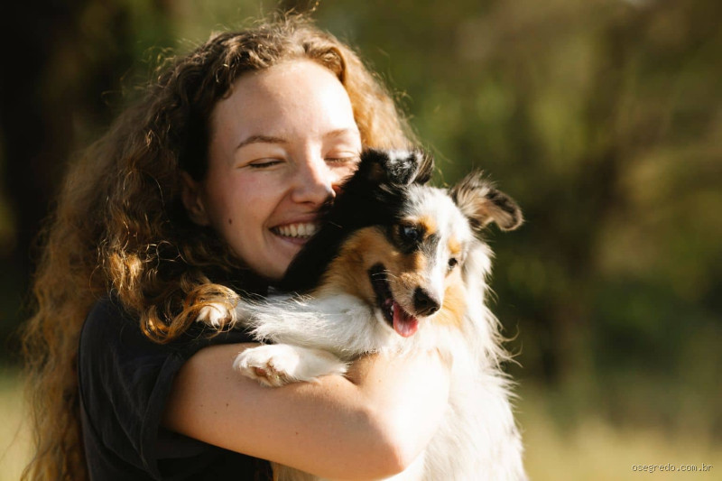 Como saber se seu cachorro está feliz com você?