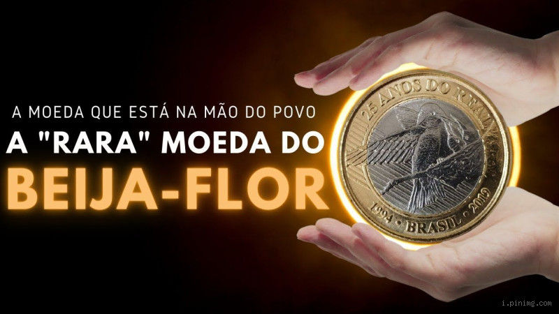 Quanto vale a moeda da beija-flor em 2023? Descubra aqui!