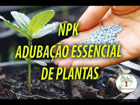 Pode misturar NPK com esterco? Descubra os benefícios e cuidados