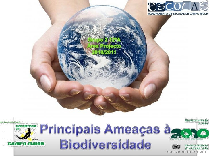 Quais são as principais ameaças à biodiversidade?