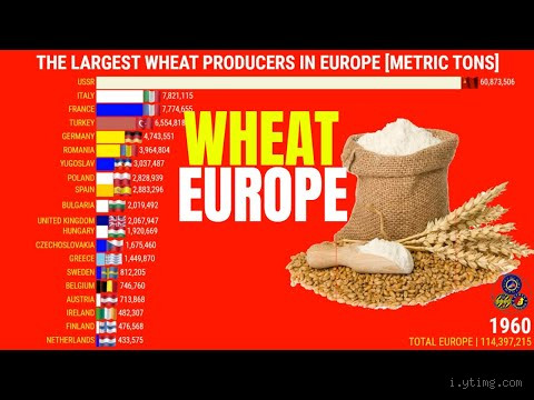 Qual é o maior produtor de trigo da Europa? Descubra agora