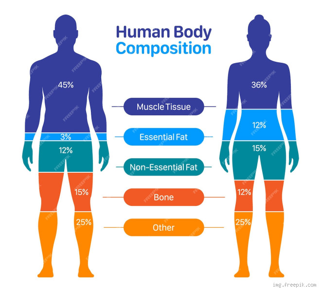 Qual a composição corporal ideal?