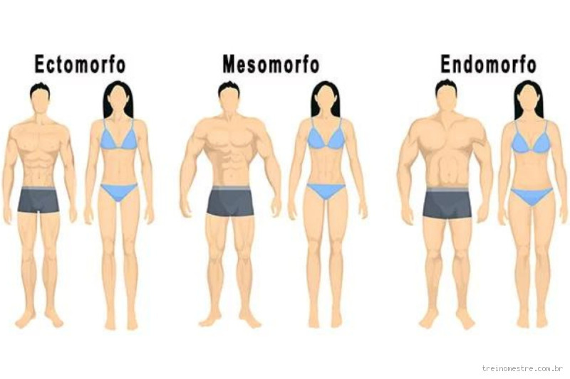Sou gordo mas sou Mesomorfo? Entenda o que isso significa para o seu corpo