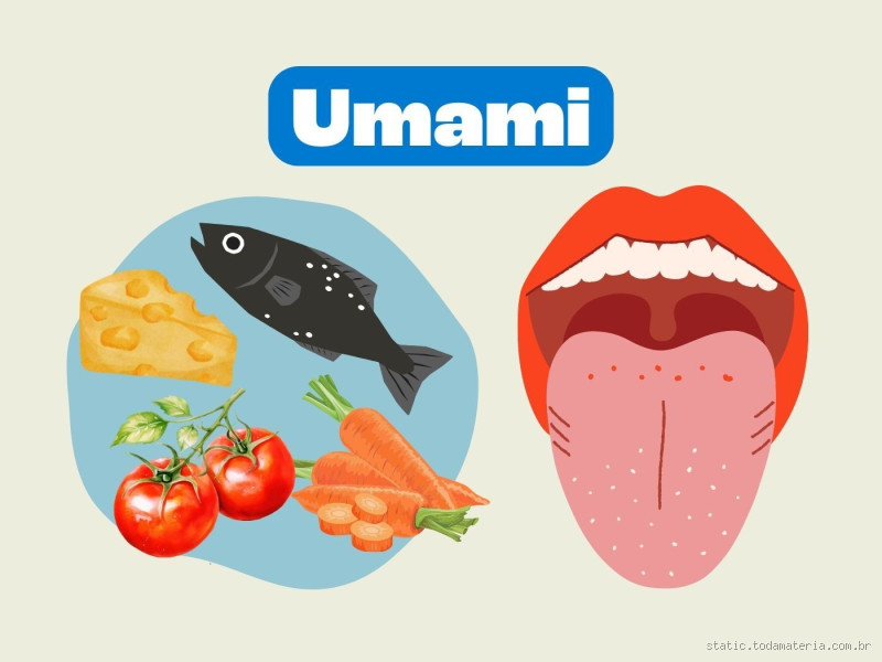 O que é umami em português? Descubra o sabor mais misterioso
