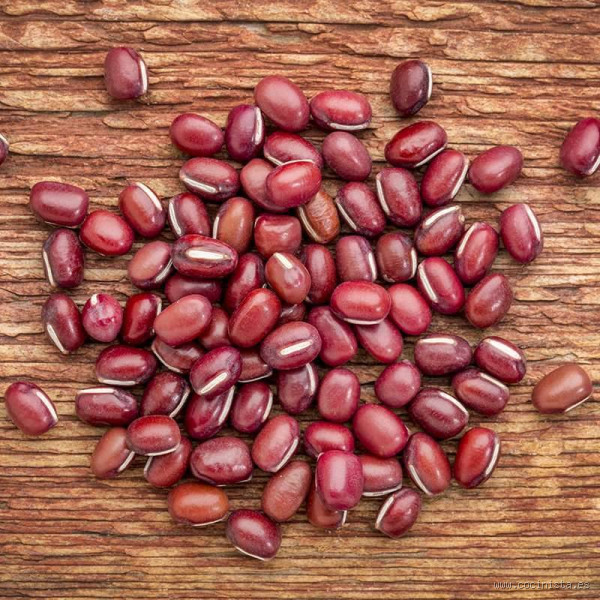 O que significa Azuki em português? Descubra tudo sobre esse grão