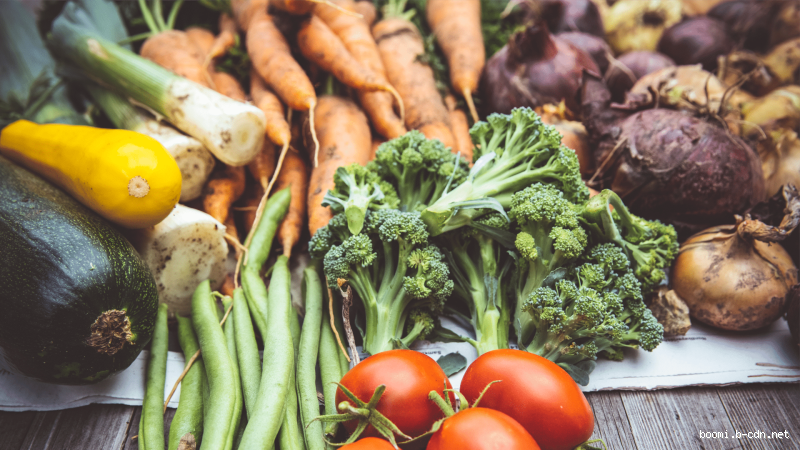 Pode comer legumes todos os dias? Benefícios e cuidados que você precisa saber
