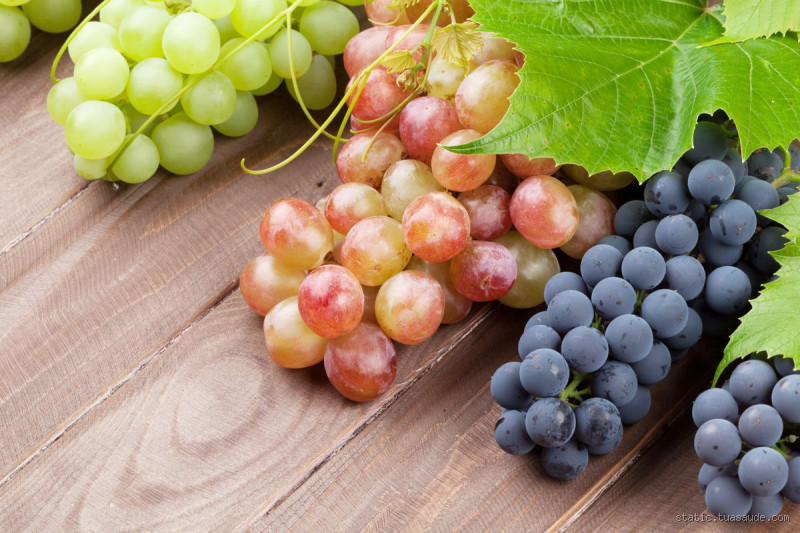 Pode Comer Uva à Vontade? Descubra Tudo Sobre Esse Fruto Delicioso