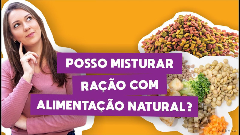 Pode Misturar Ração com Comida Natural? Descubra o que é melhor para seu pet!