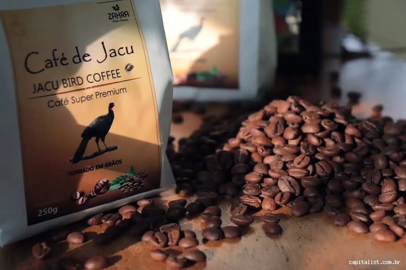 Por que o café jacú é tão caro? Entenda o mistério desse grão raro