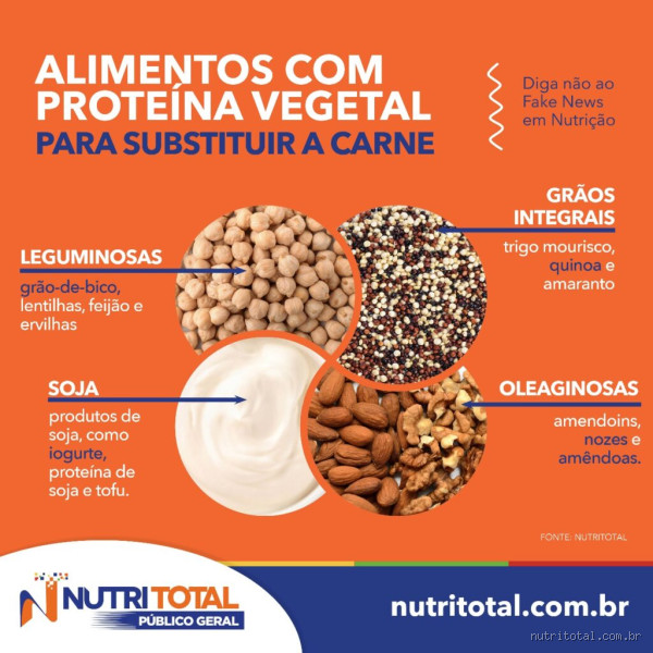 Qual a proteína que substitui a carne? Descubra as melhores opções!