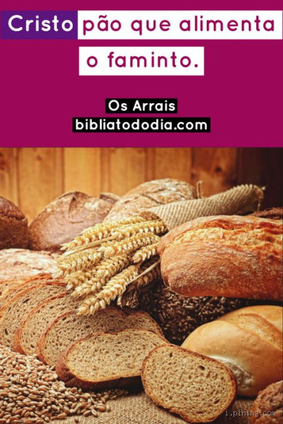 Alimentos para a Alma: Quais Comidas Nutrem Nossa Escolha Emocional e Conexão?"
