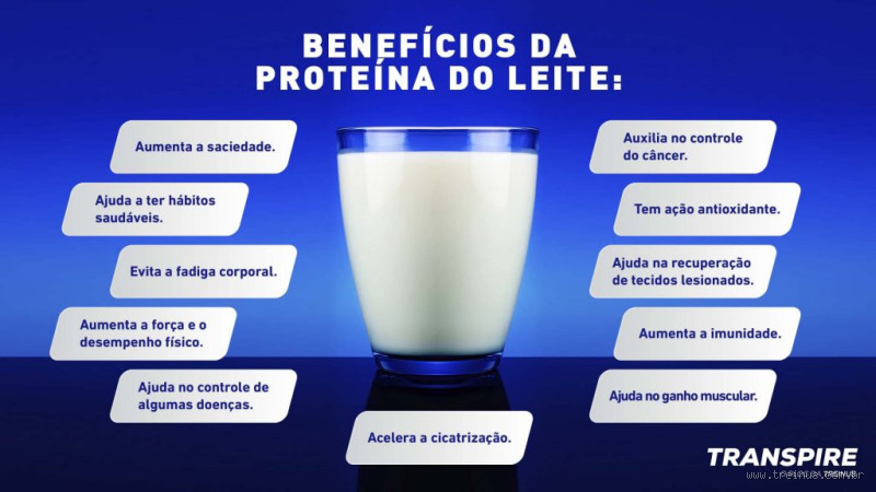 Qual leite tem mais proteína e menos gordura? Descubra o melhor para sua dieta