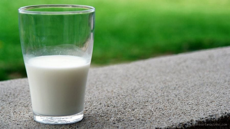 Qual o leite que não tem carboidrato? Descubra as opções ideais para sua dieta
