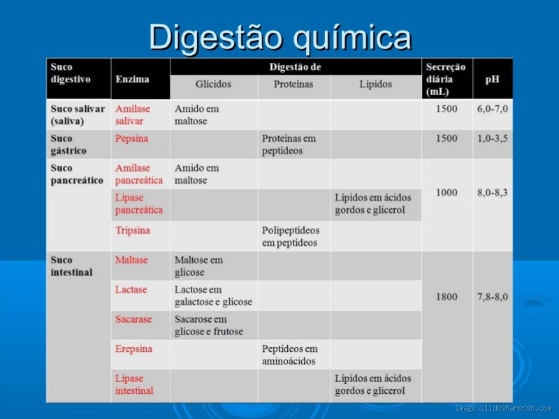 Qual o tempo de digestão das frutas?