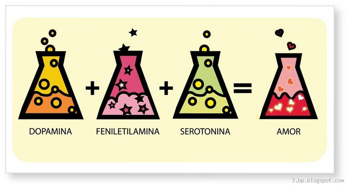Quanto tempo dura a química da paixão?